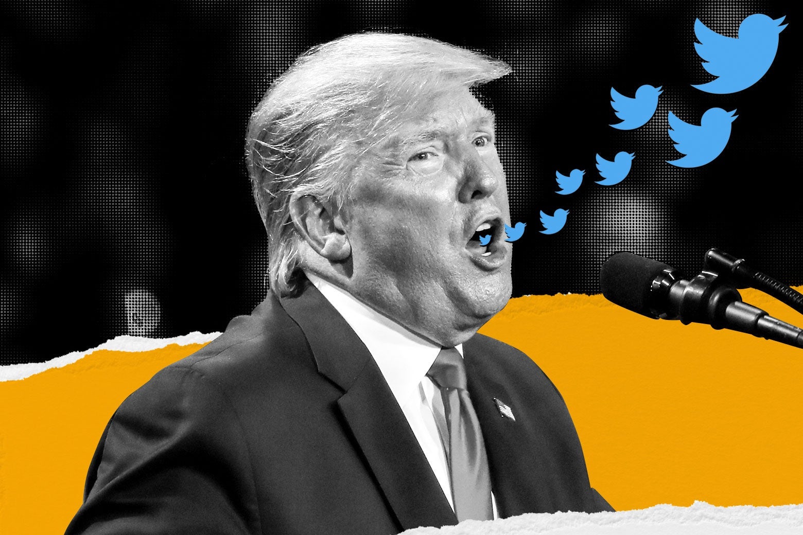 Donald Trump with Twitter birds flying out of his mouth as he speaks at a mic.