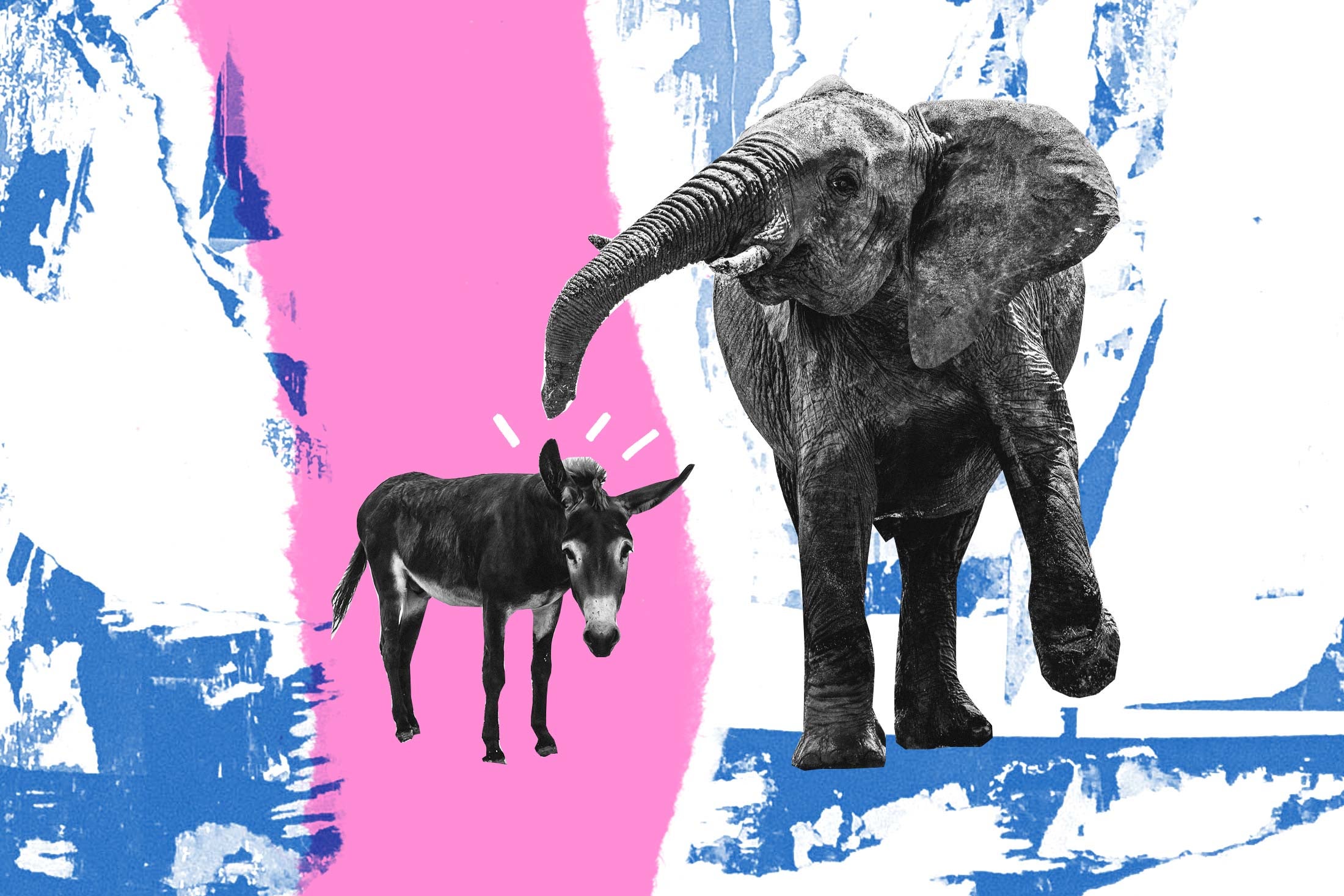 A stomping elephant towering over a donkey.