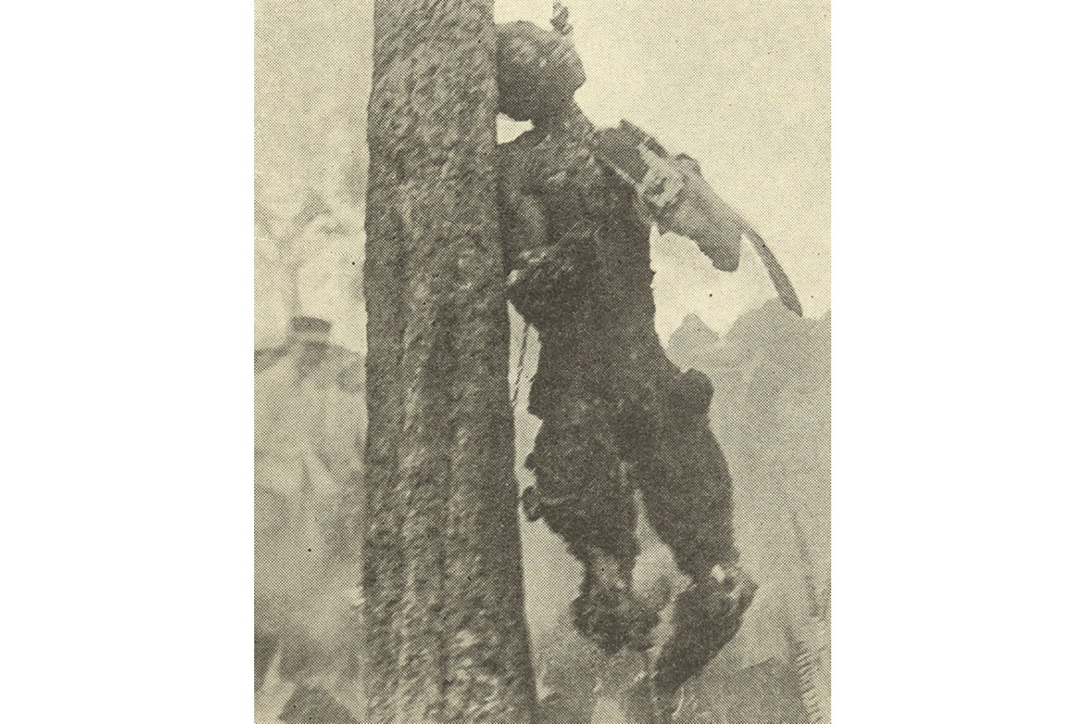 The almost unrecognizable body of Jesse Washington, hanging from a tree.