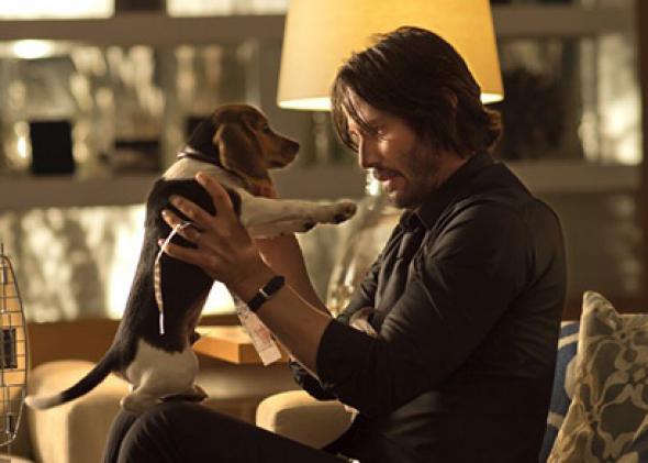 Keanu Reeves and the “world’s cutest puppy” in John Wick