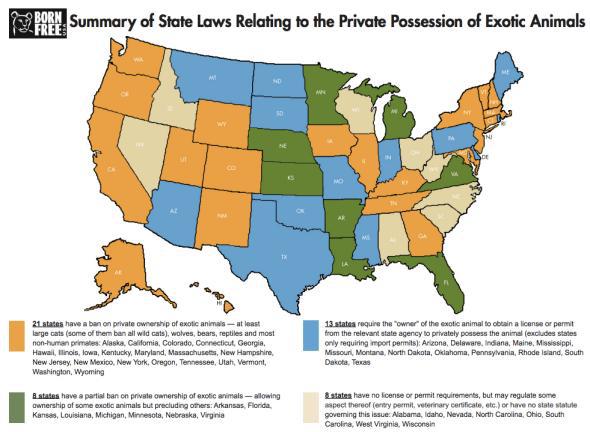 what states allow wolf dogs