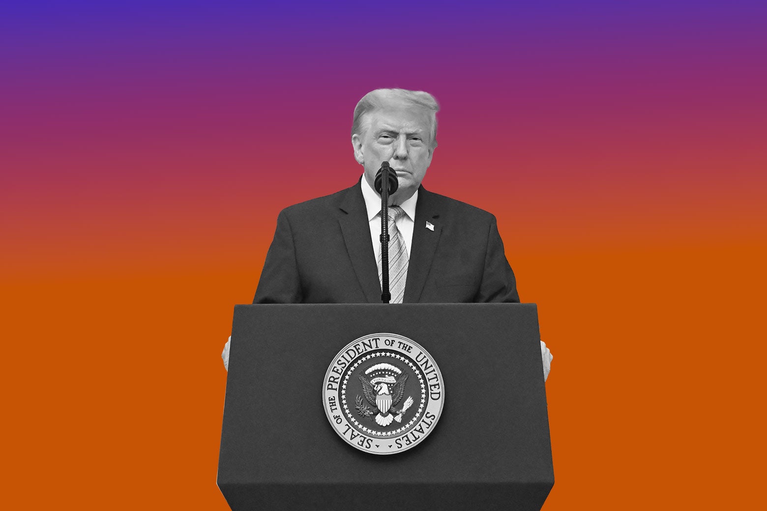 Trump’s White Whale Trump’s White Whale