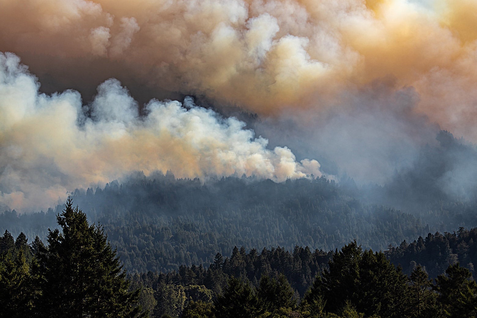 Huge cloud of smoke above trees