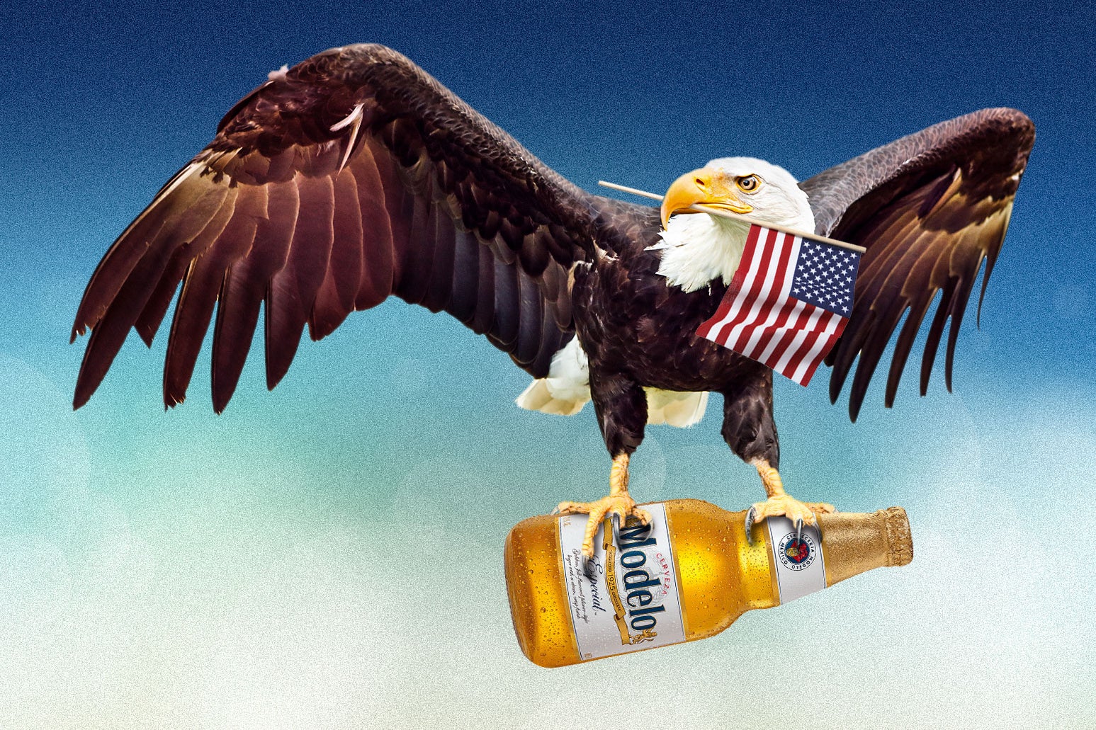 a bald eagle flying with an American flag in its beak and a bottle of Modelo in its talons