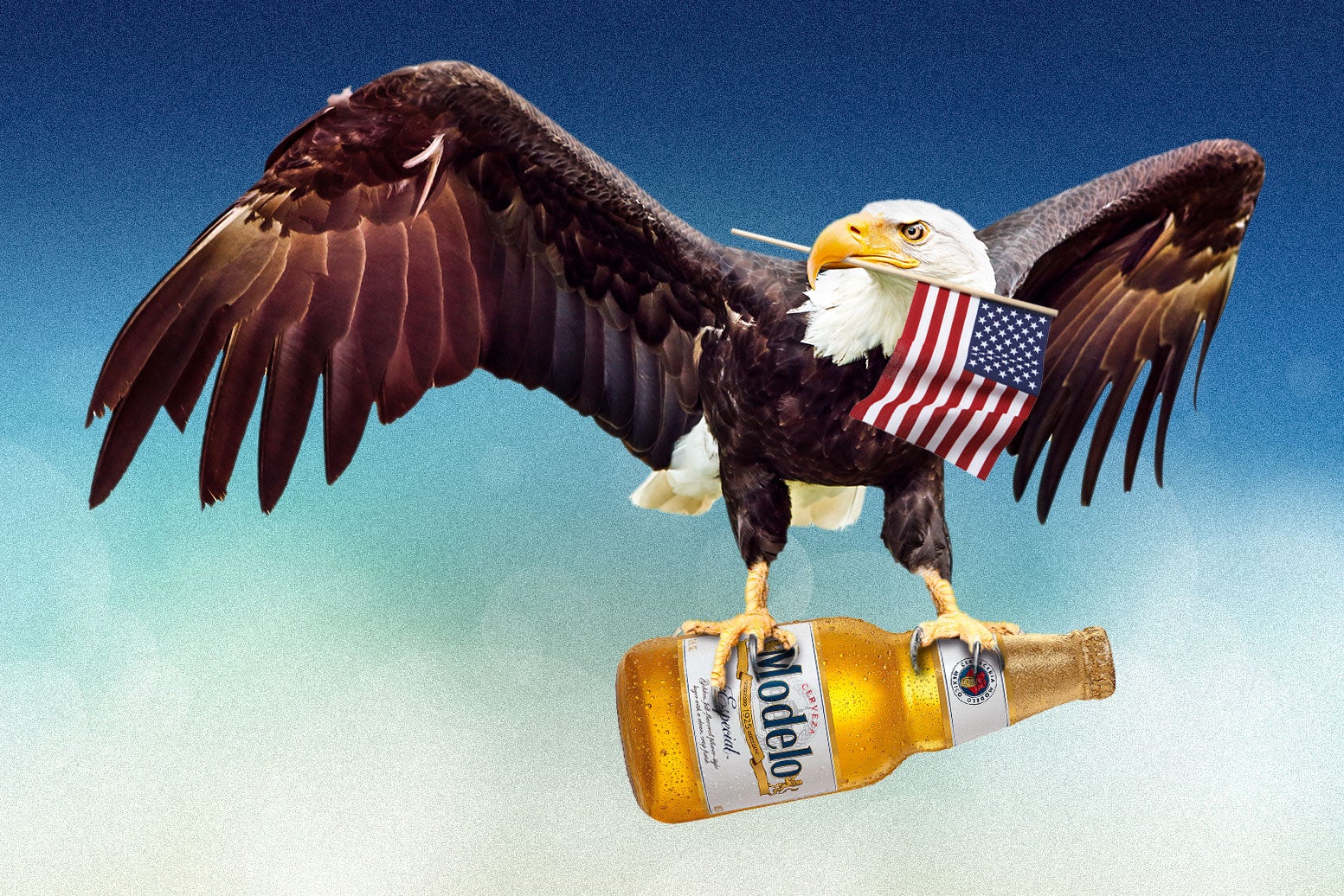 A bald eagle holds an American flag in its beak and a Modelo beer in its talons.