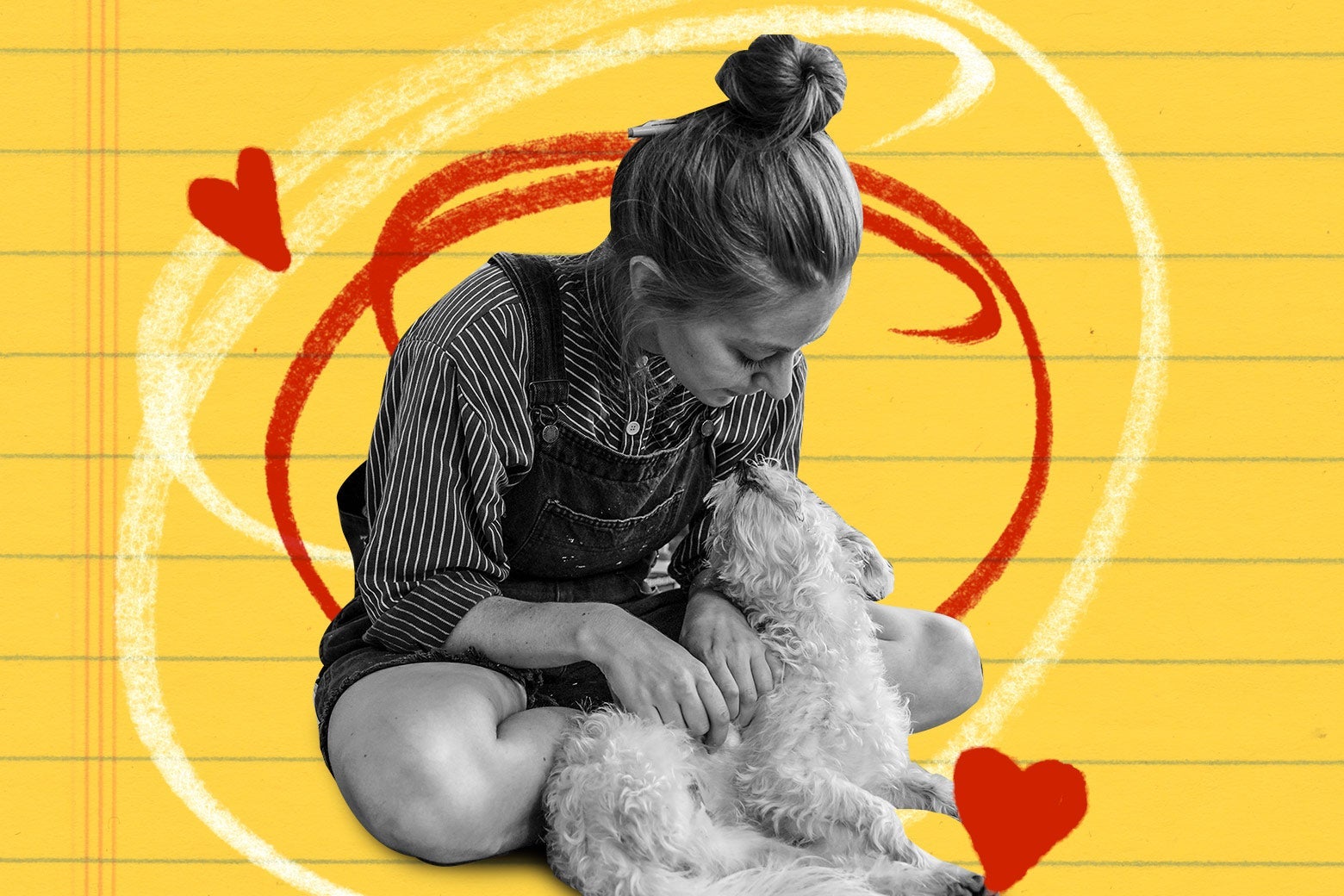 How to train your dog to stop barking. - Vimarsana News