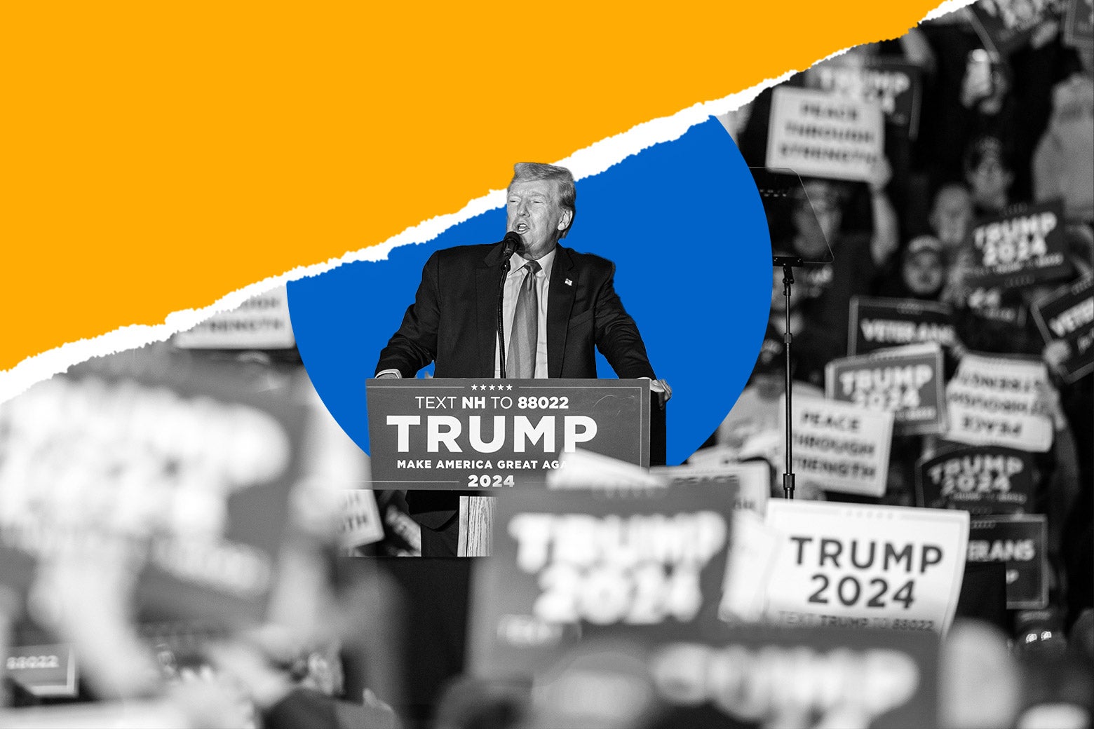 Trump&rsquo;s Second Term