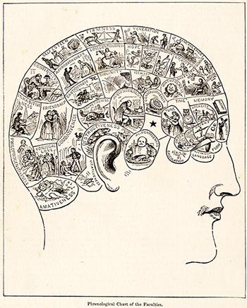 19th Century Phrenological diagram cropped to show "organs" at top and front of head, 1883.