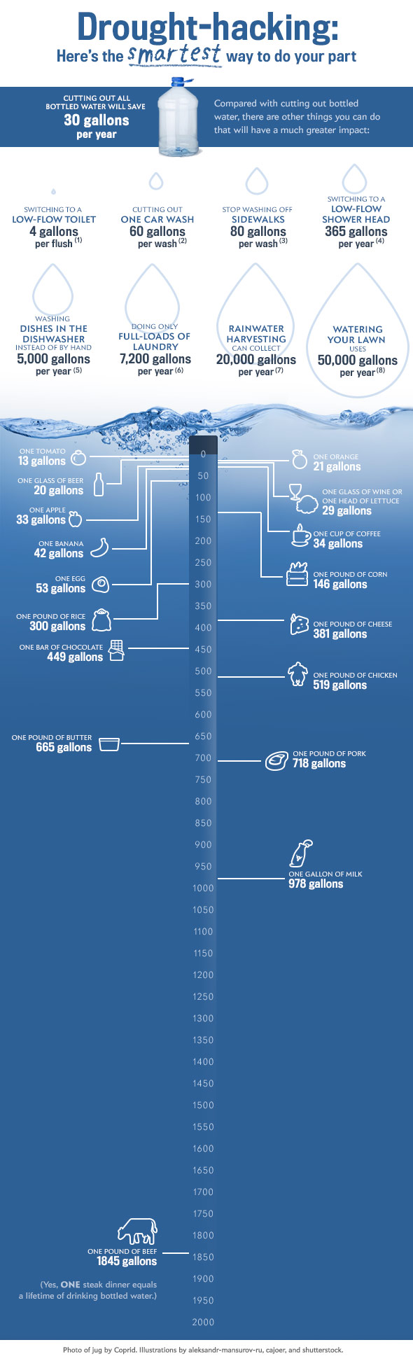 Chart Bottled Water