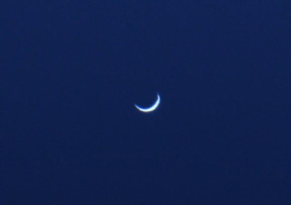 Venus