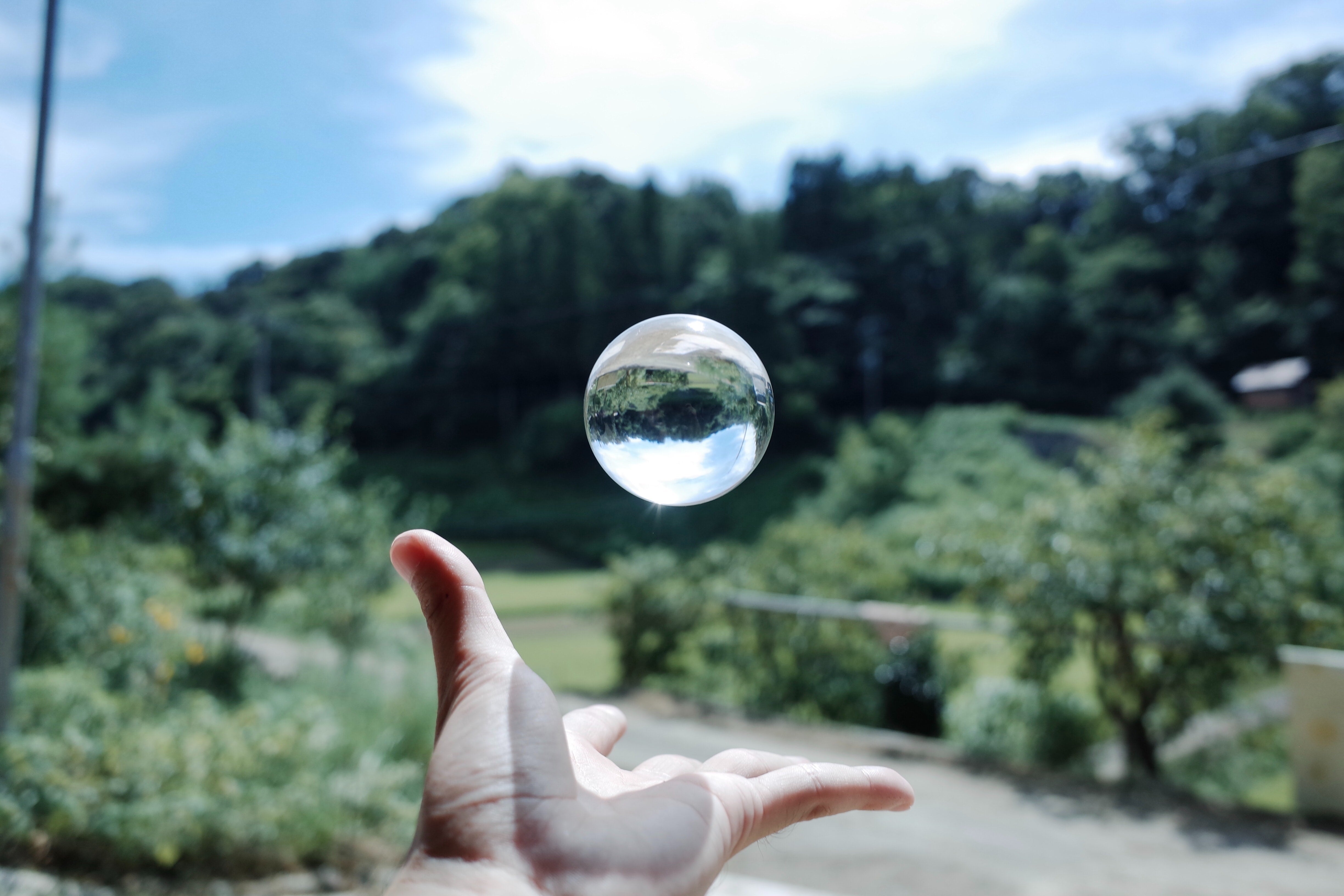 A crystal ball floats over a hand against a backdrop of greenery.