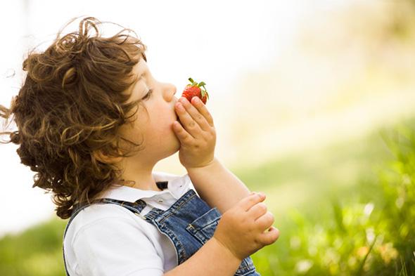 Boy eating a Strawberry