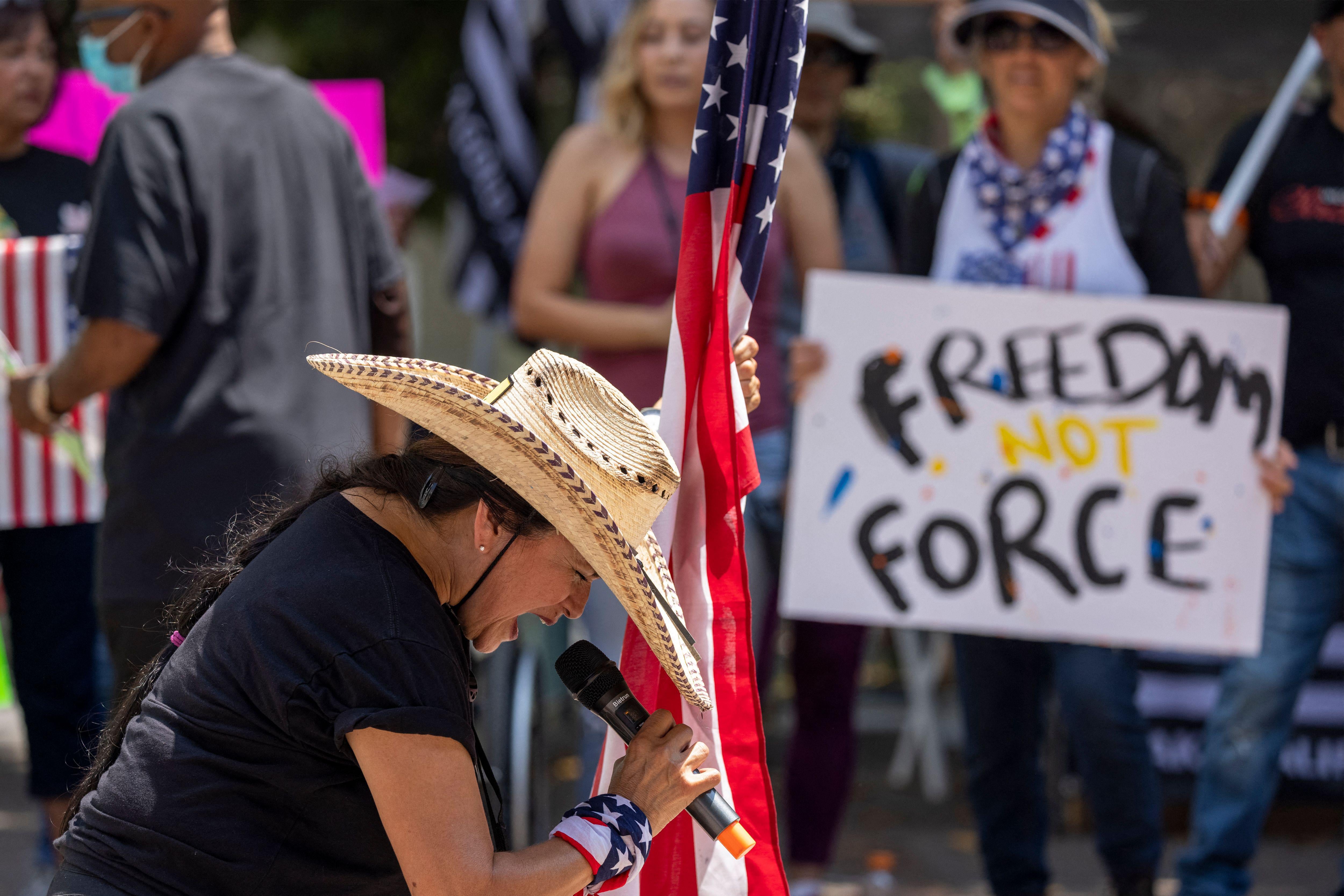 A woman in a cowboy hat and leans forward toward a microphone she's holding. With the other hand, she holds an American flag. In the background, a person holds a sign saying "Freedom not Force." 