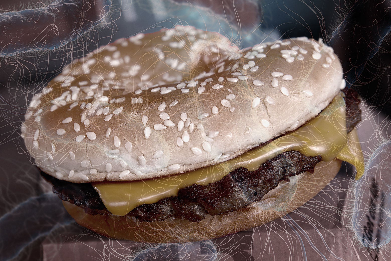 Uh, Should You Worry About McDonald’s Because of the Whole E. Coli Thing?