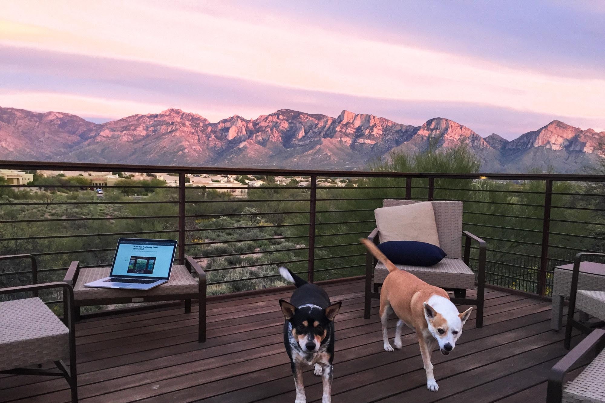 Two dogs on a porch overlooking mountains at sunset.