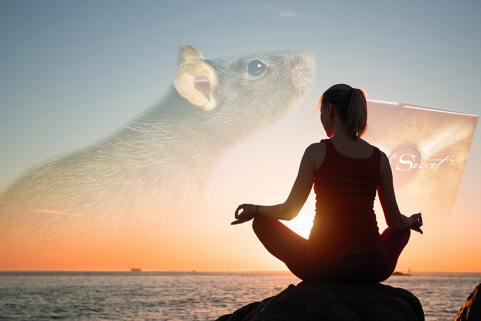 Ayahuasca and Yoga Retreats Gain Popularity in the Florida Keys