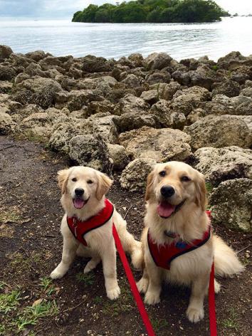 Venkman, left, and Hopper.