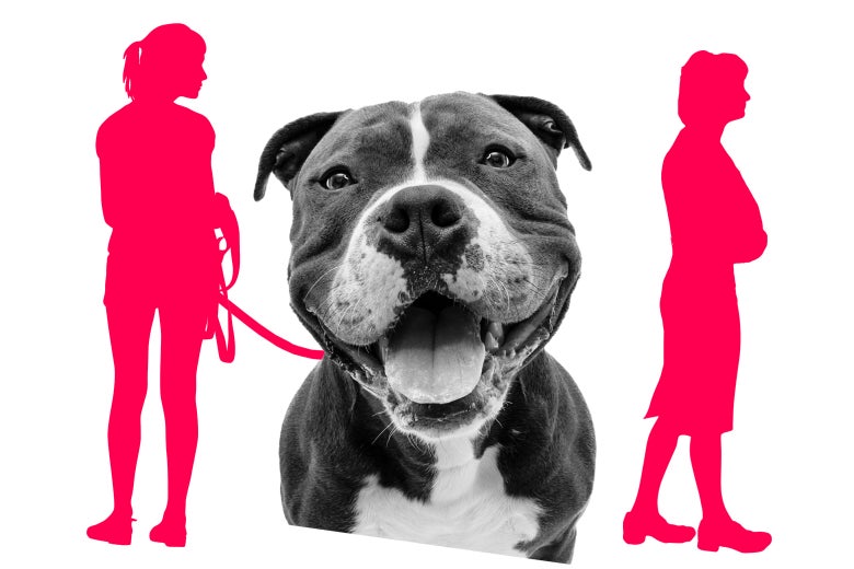 A woman with a pit bull on leash beside another woman turned away from them with her arms crossed.