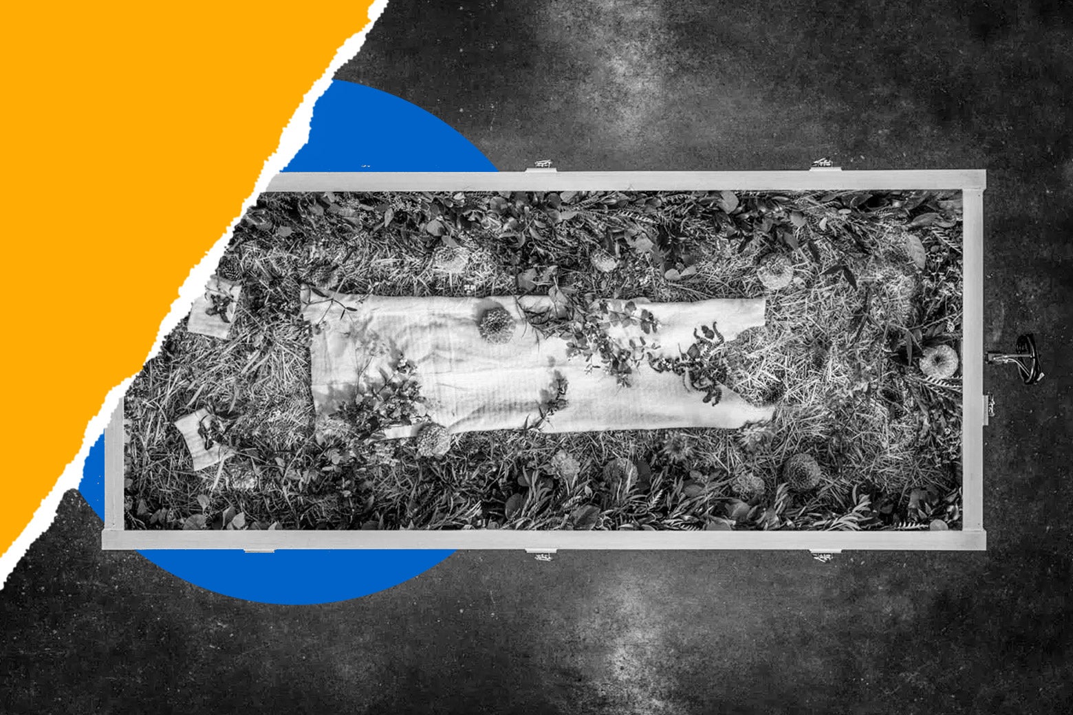 Are You Ready to Be Composted When You Die? Are You Ready to Be Composted When You Die?