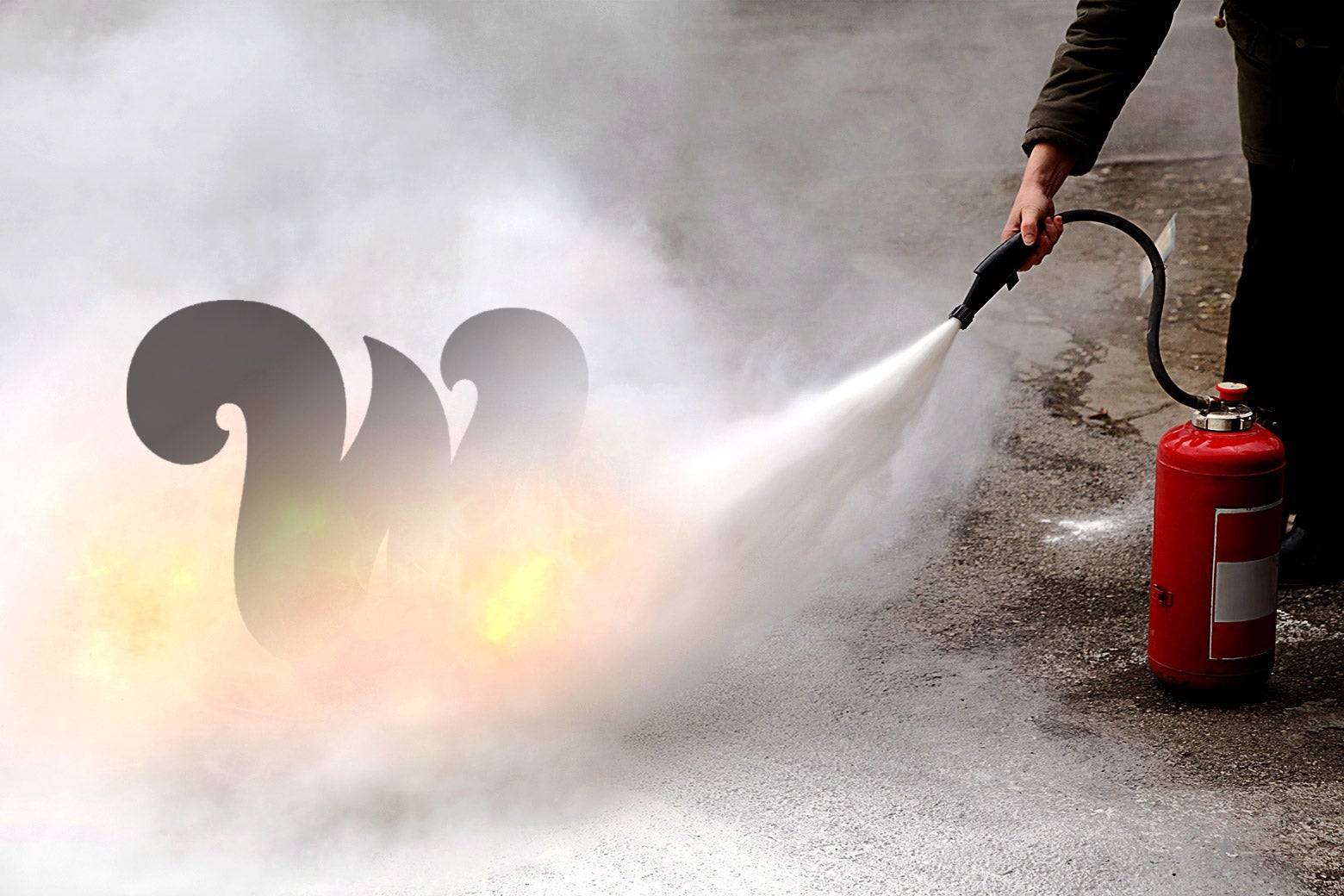 I Finally Joined The Wing. It’s Full of Men Now. I Finally Joined The Wing. It’s Full of Men Now.