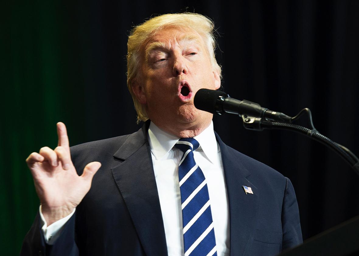 President-elect Donald Trump speaks at the USA Thank You Tour 2016 at the Wisconsin State Fair Exposition Center December 13, 2016 in West Allis, Wisconsin.