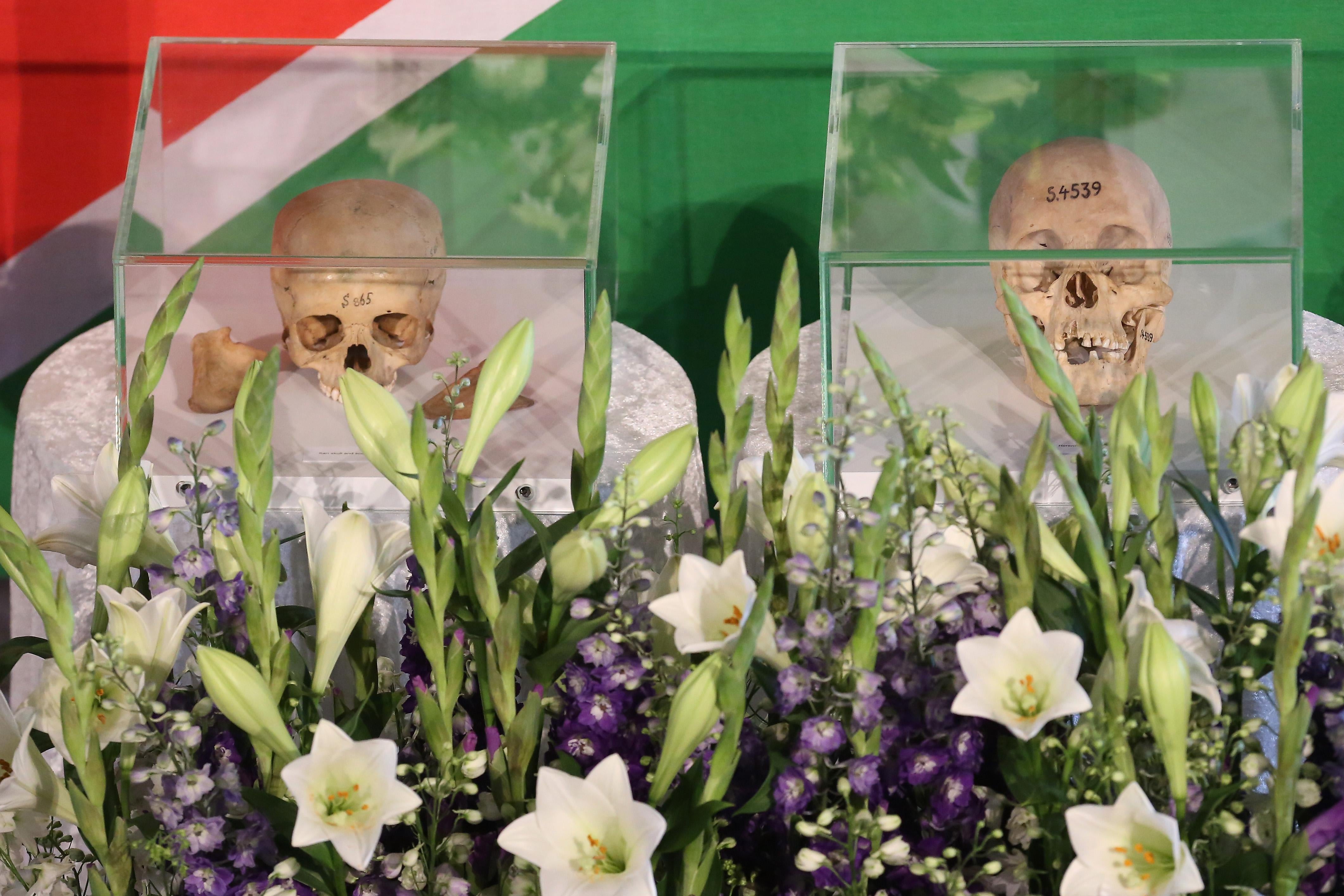 Two skulls in glass cases sit in front of a Namibian flag surrounded by flowers.