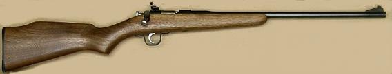 A .22 caliber rifle