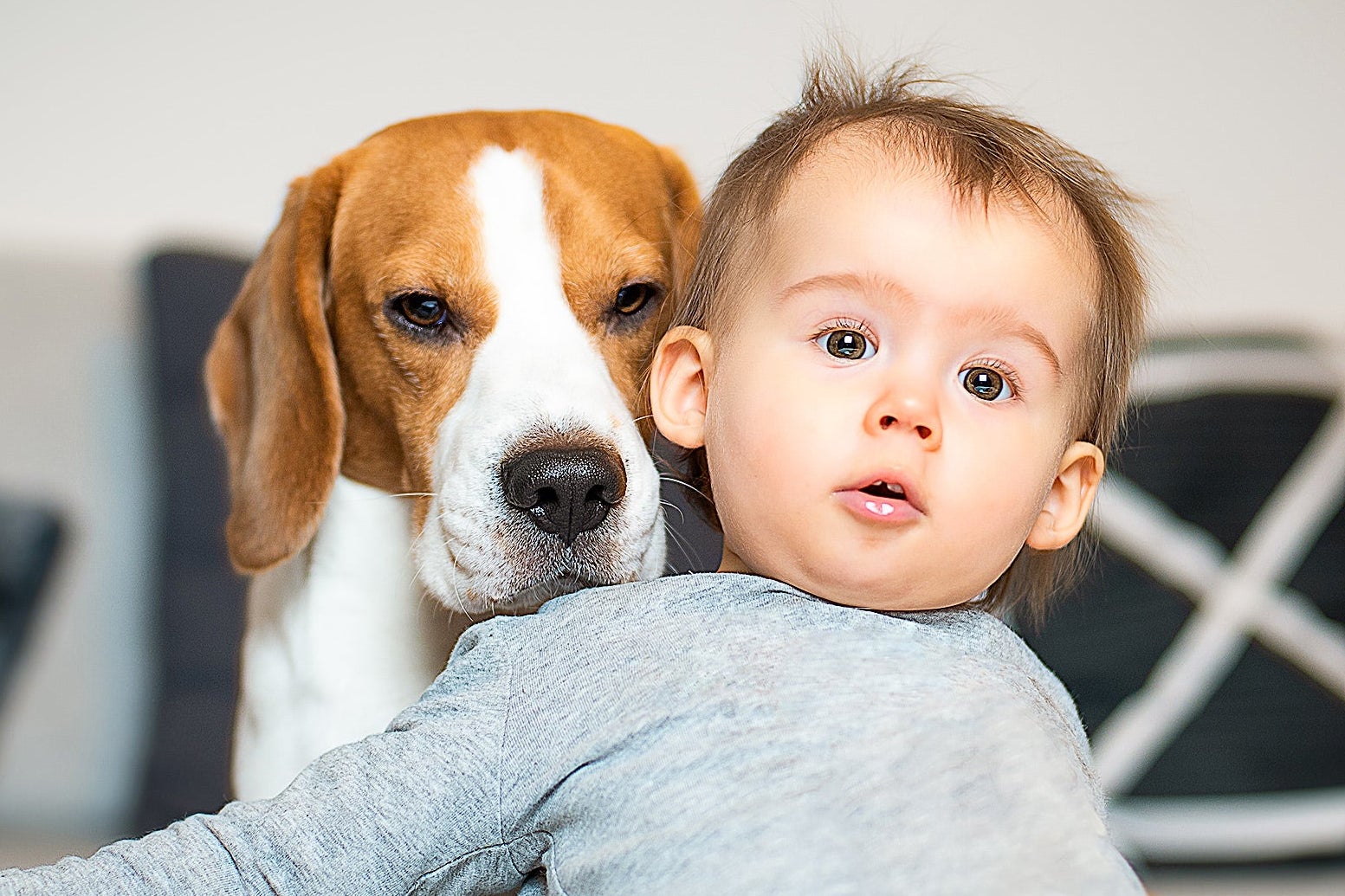 what sound does a dog make when happy