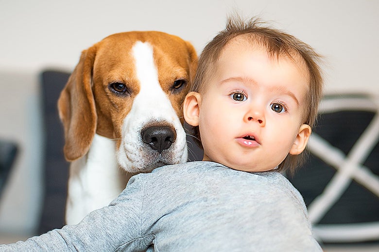 A dog rests its head on a baby's shoulder.
