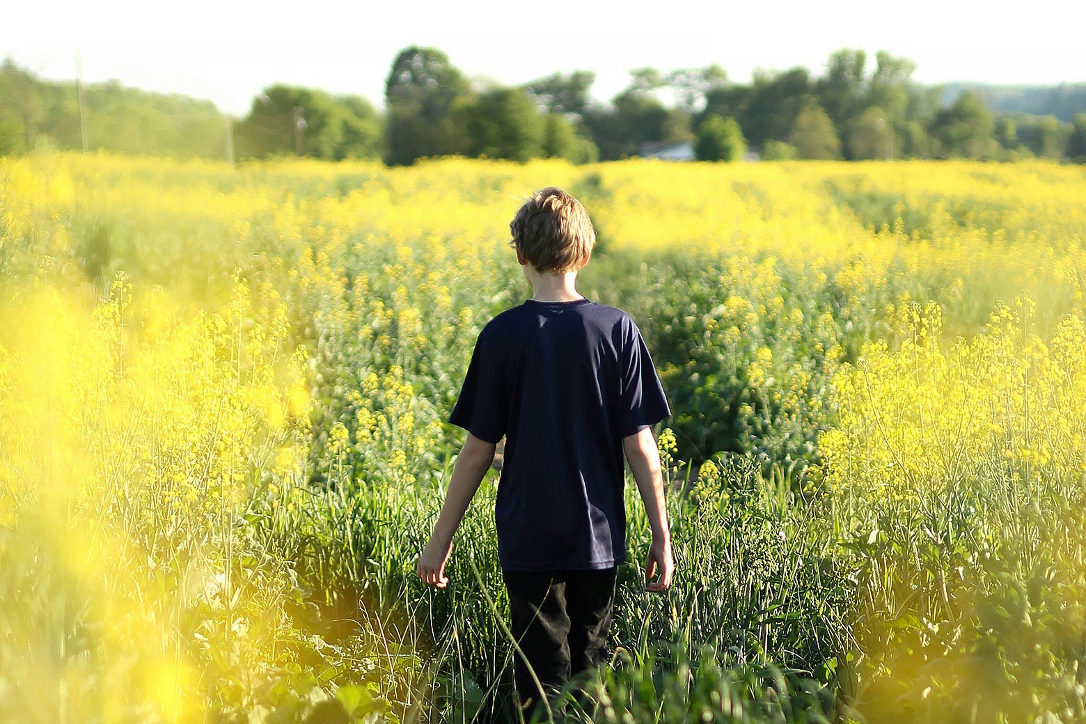 A teen walking alone through a field of flowers.