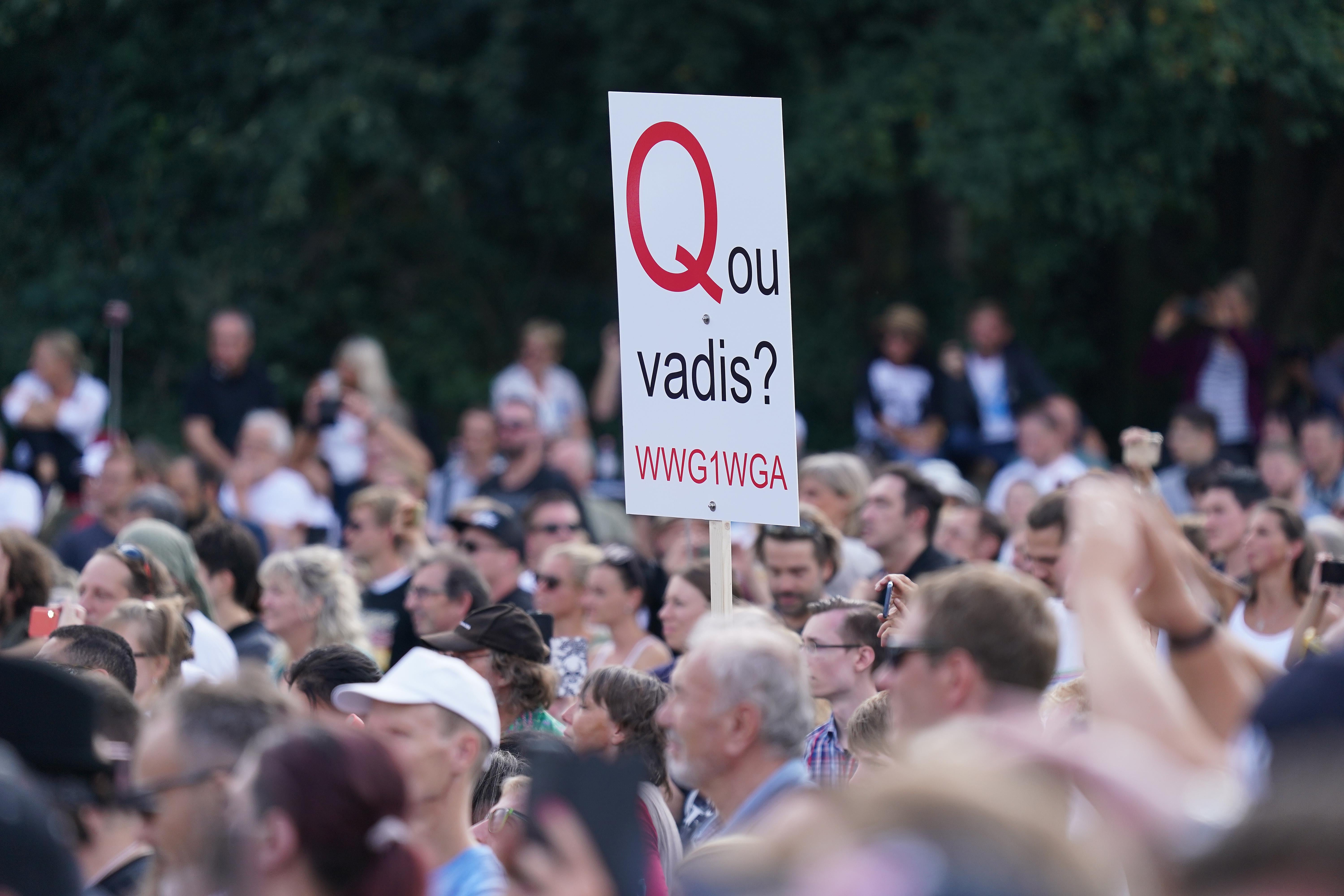 In a large group of people, a person holds a sign that says "Quo vadis? WWG1WGA."