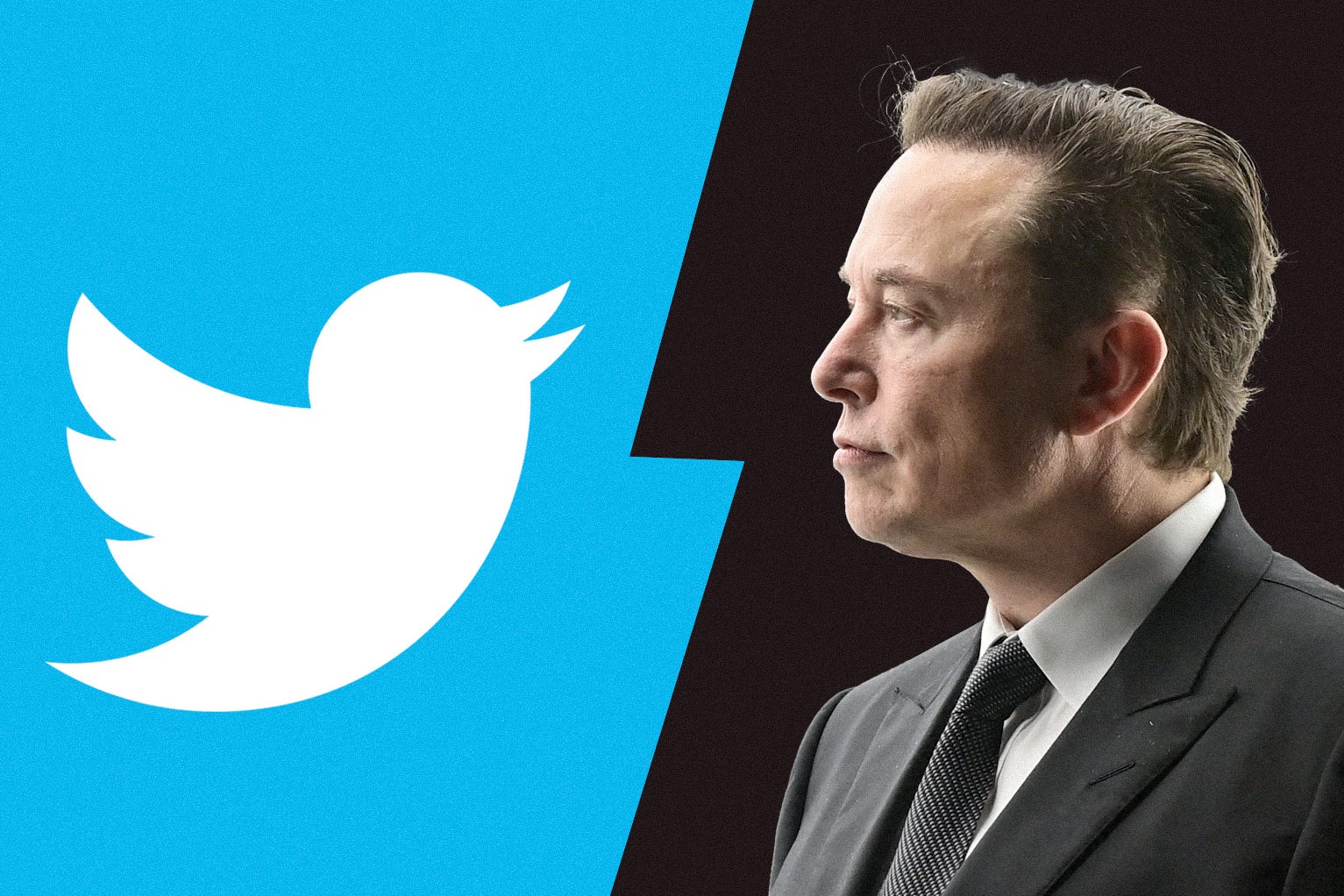 A side-by-side of the Twitter logo and Elon Musk, separated by a lightning-bolt-shaped border