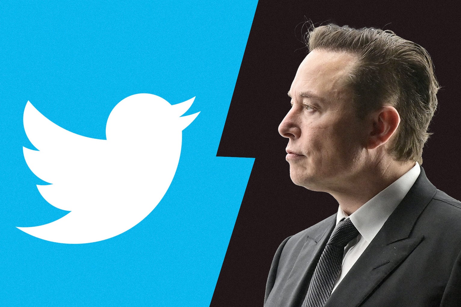 Elon Musk Twitter