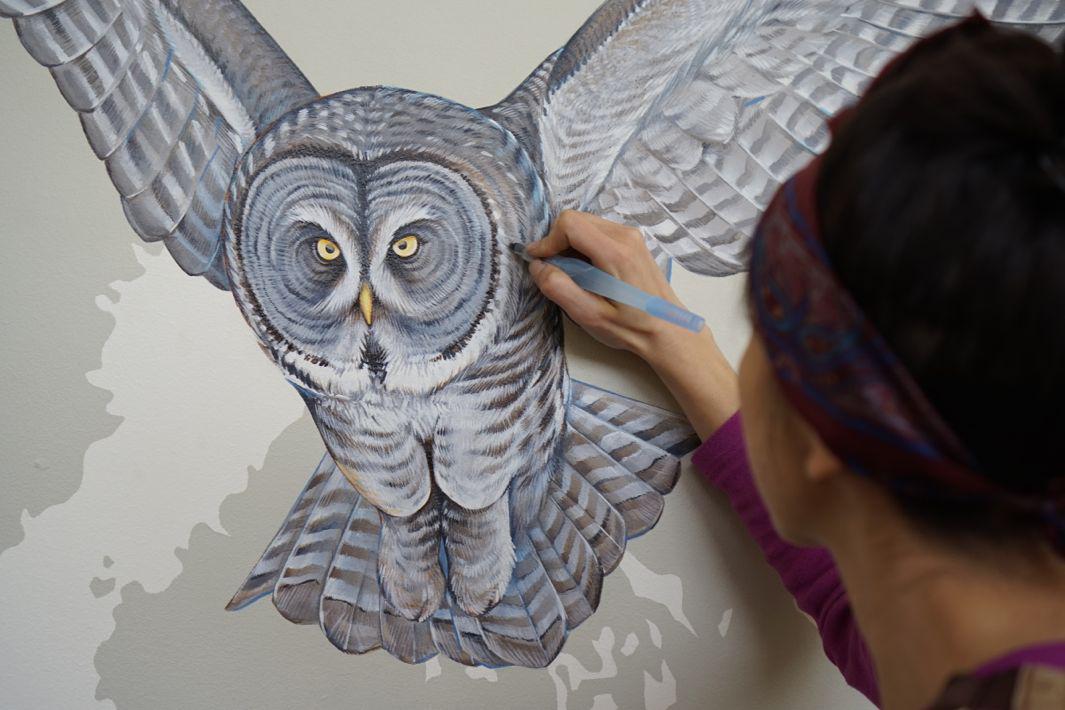 06_Great Grey Owl Progress