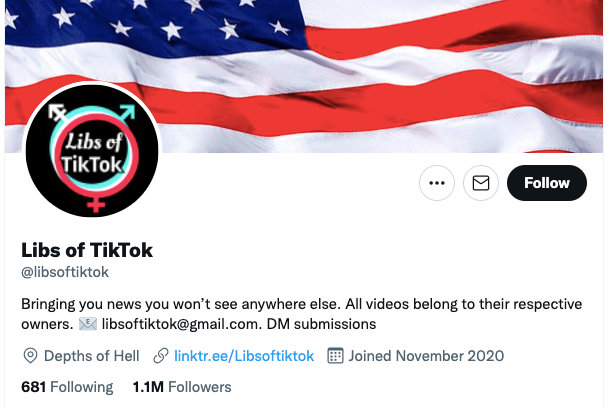 Screenshot of Libs of TikTok Twitter page with an American flag background and the bio "Bringing you news you won't see anywhere else"
