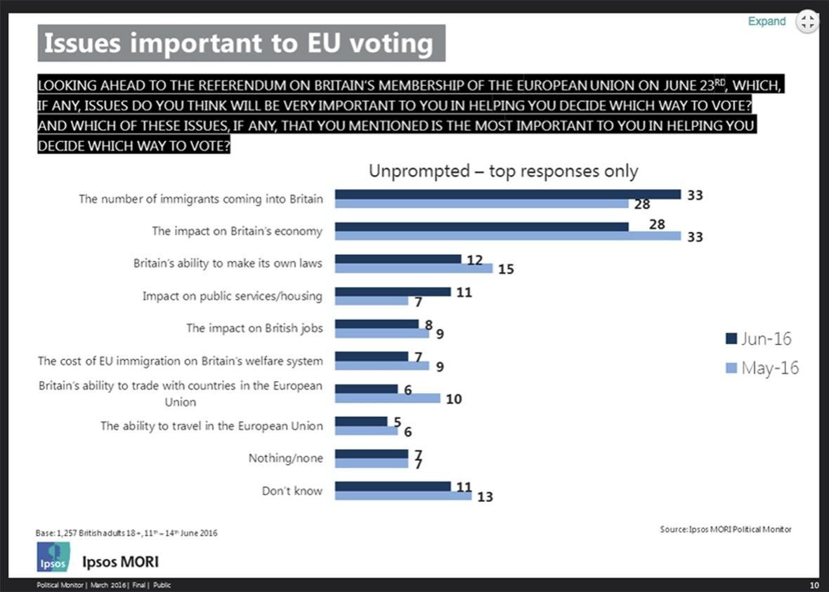 issues important to eu voting.