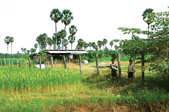 The Khmer Rouge turned Cambodia’s rice farms into killing fields.