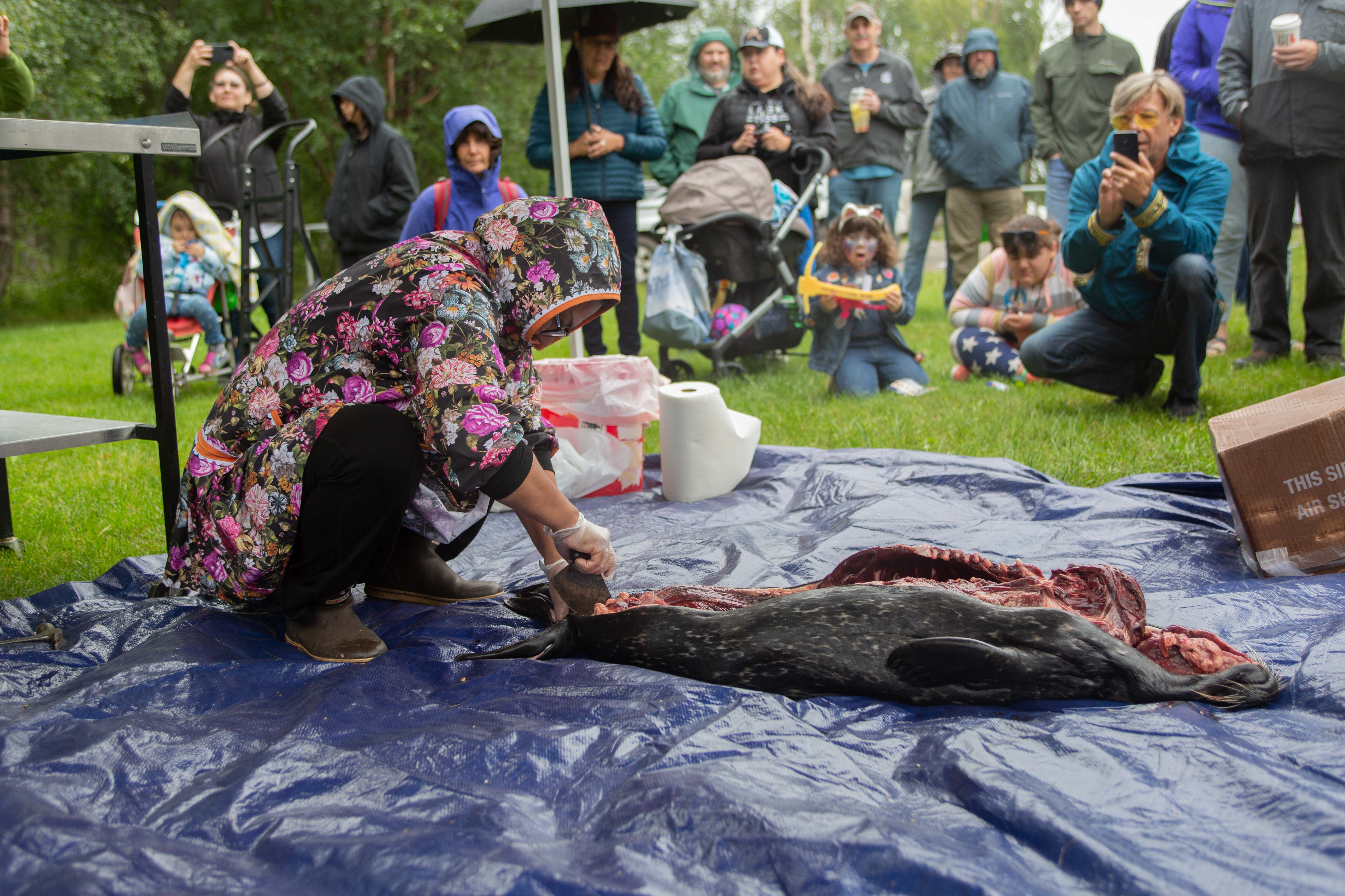 A woman skinning a seal in front of spectators. 

