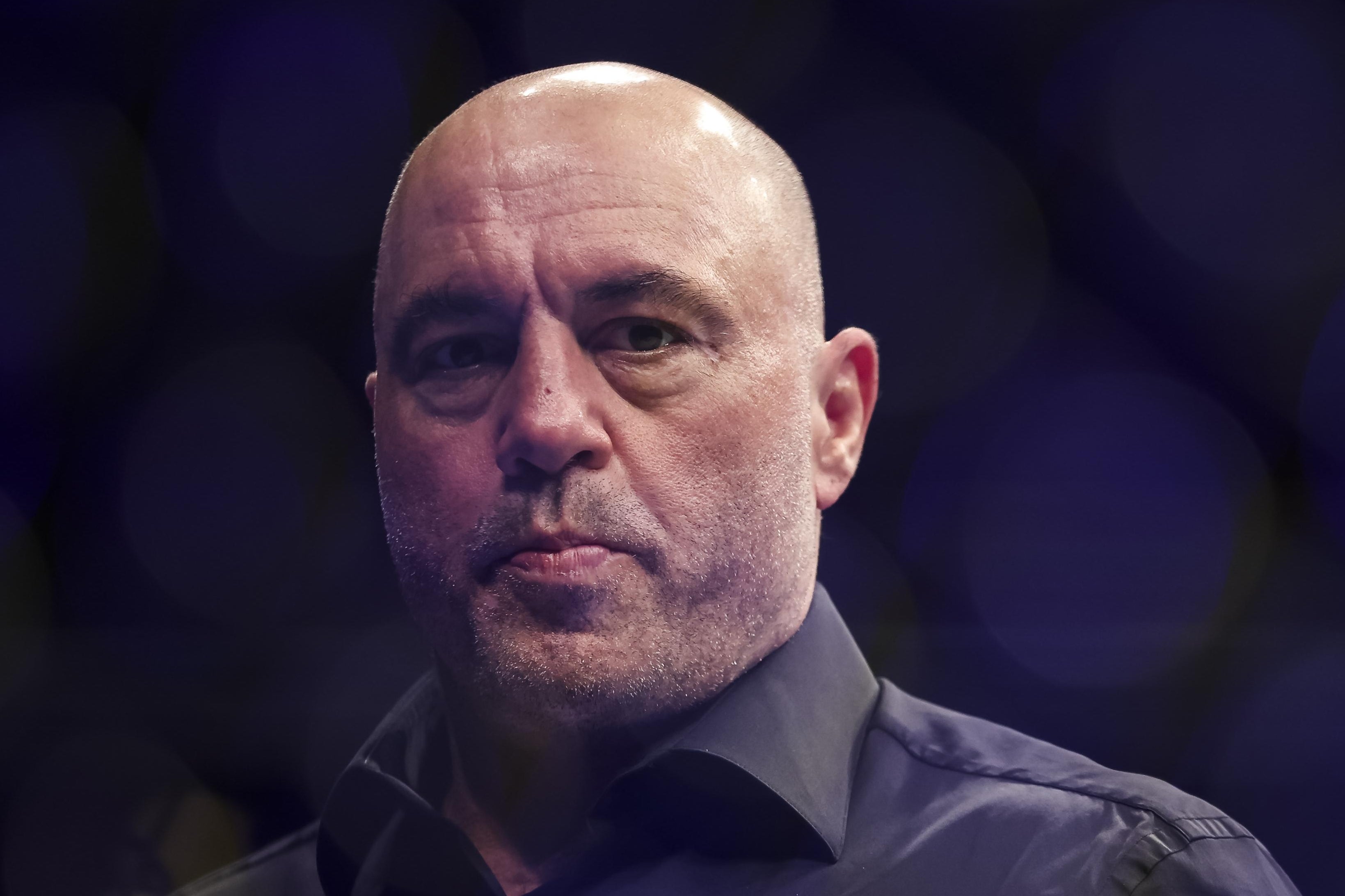 Joe Rogan - Figure 1