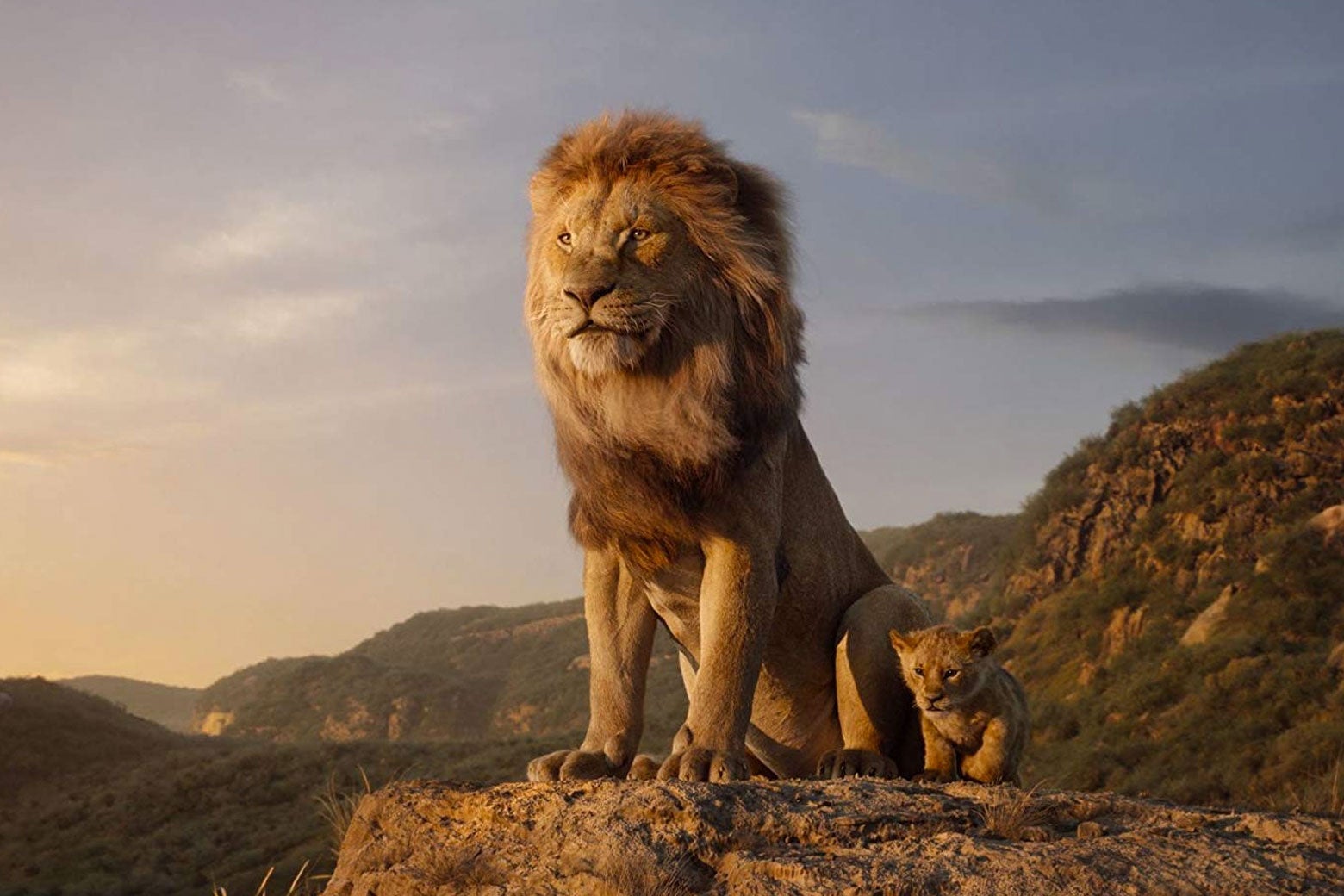 The Lion King (the new one).