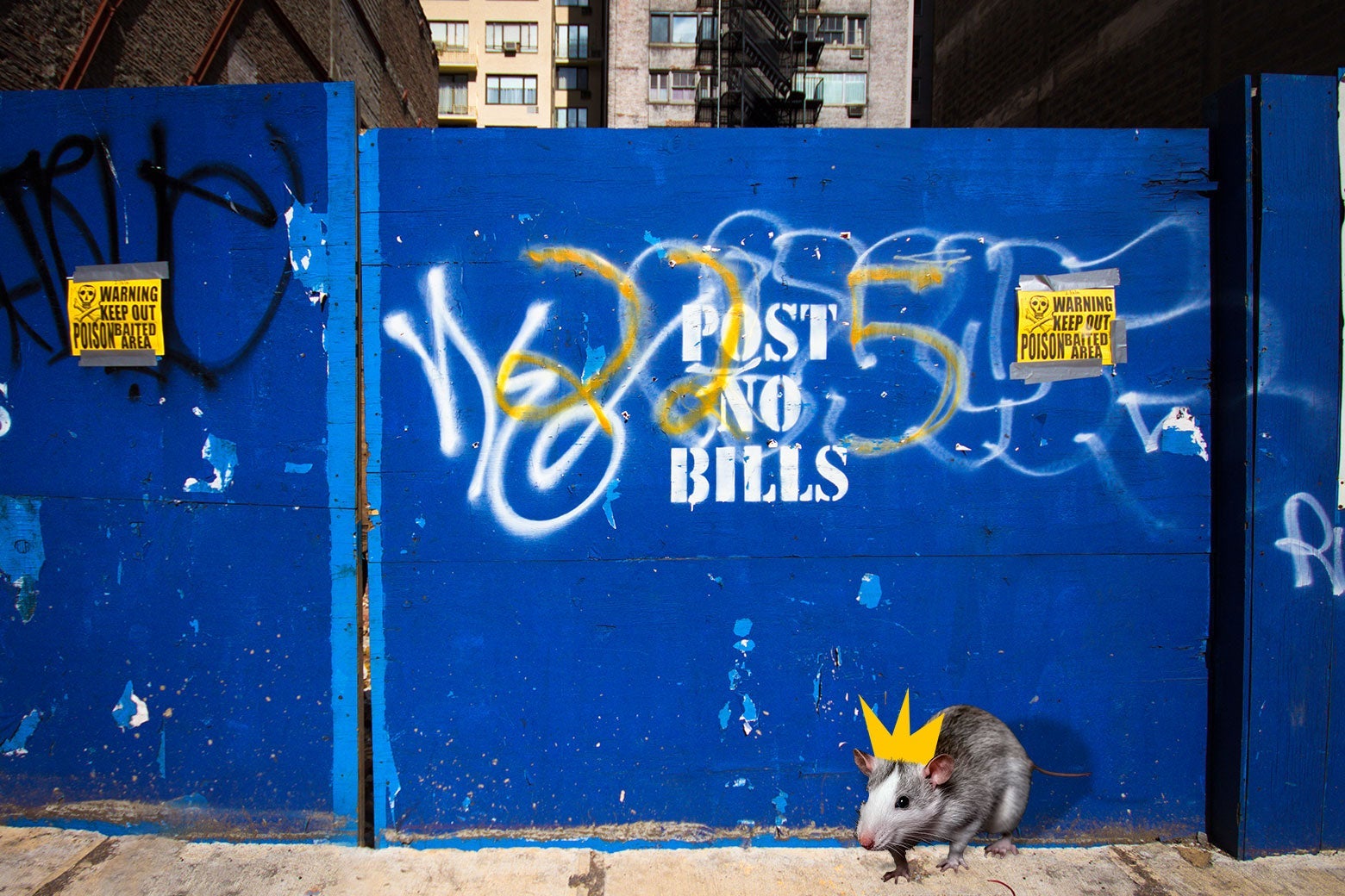 A rat wearing a crown crawls on a city street in front of a wall marked "Post No Bills"