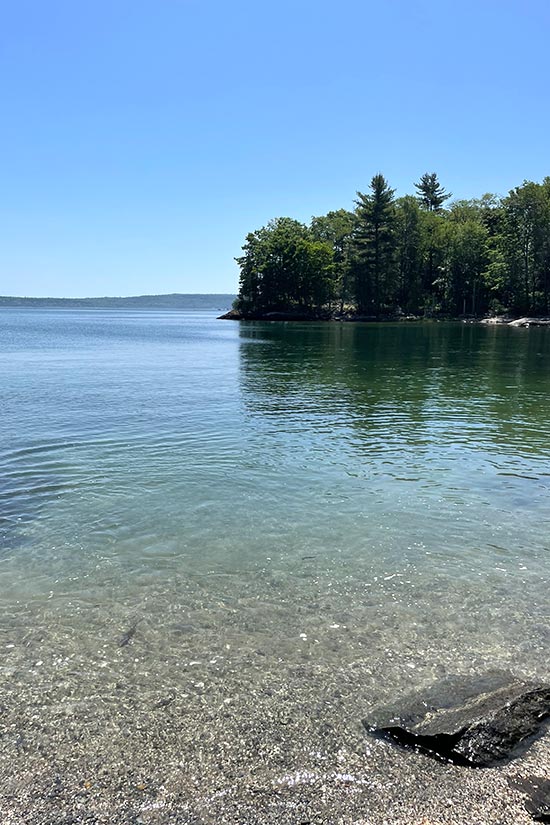 A tall cove with trees in the background.