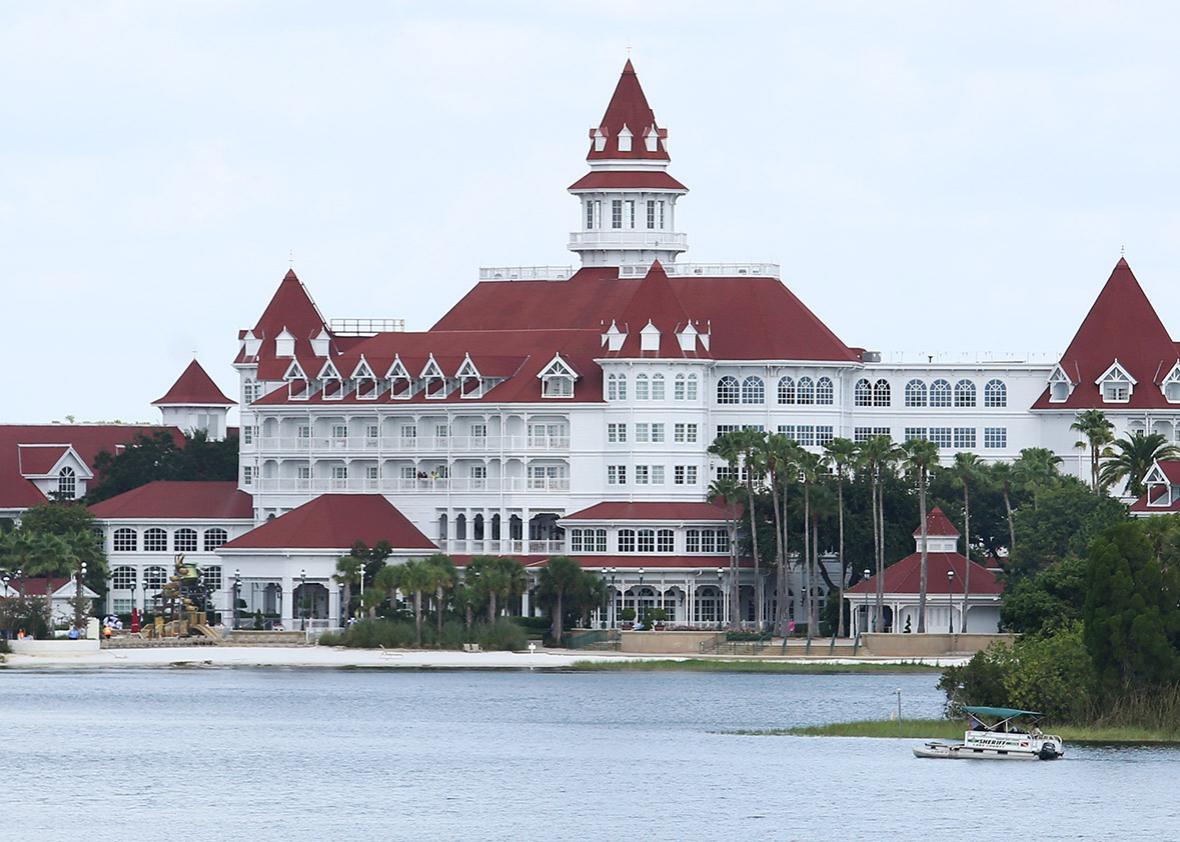 The alligators that killed a 2yearold near Disney World’s Grand