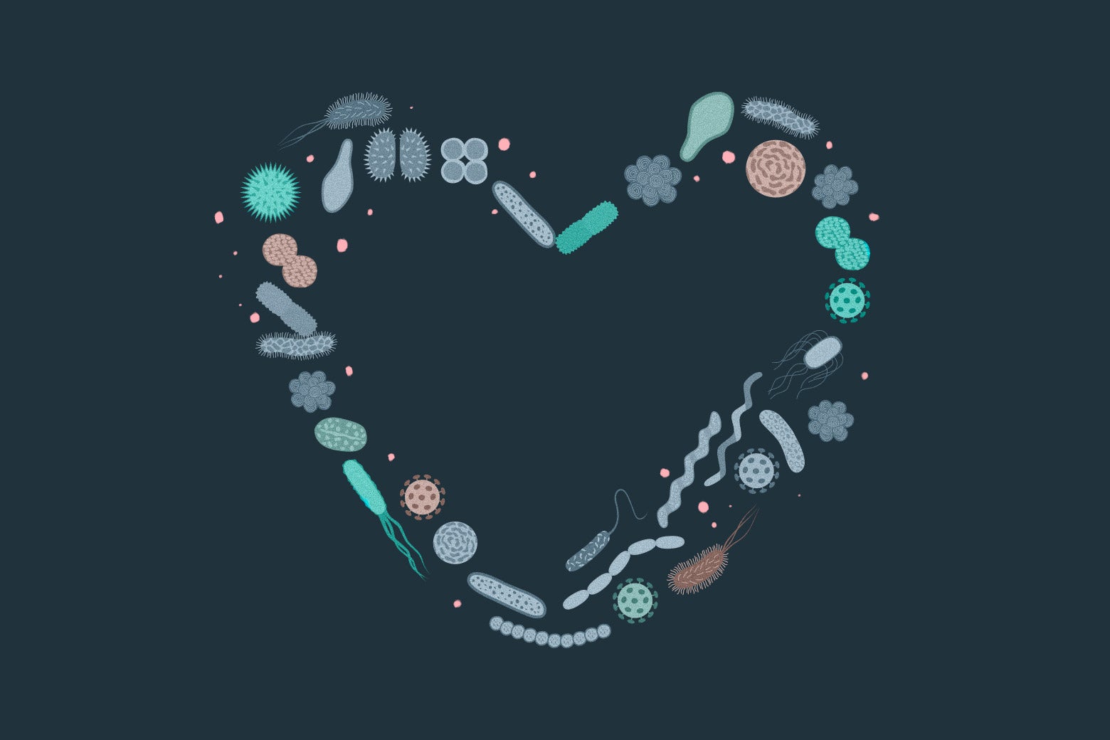 Microbes arranged in the shape of a heart.