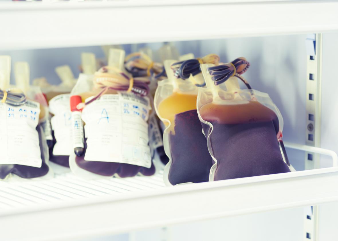 Donated blood in a laboratory refrigerator