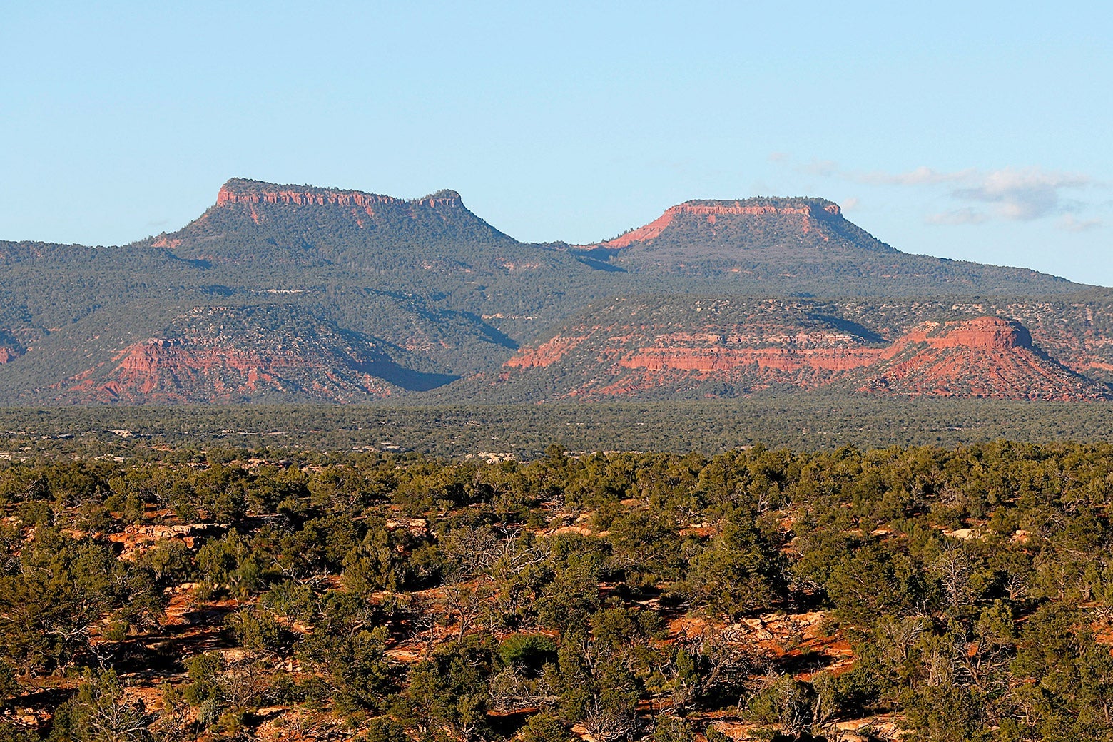 Wide shot of the pair of buttes known as Bears Ears on a sunny day