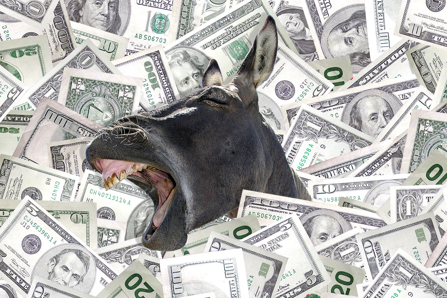A photo illustration of a donkey, representing the Democrats, surrounded by dollar bills.