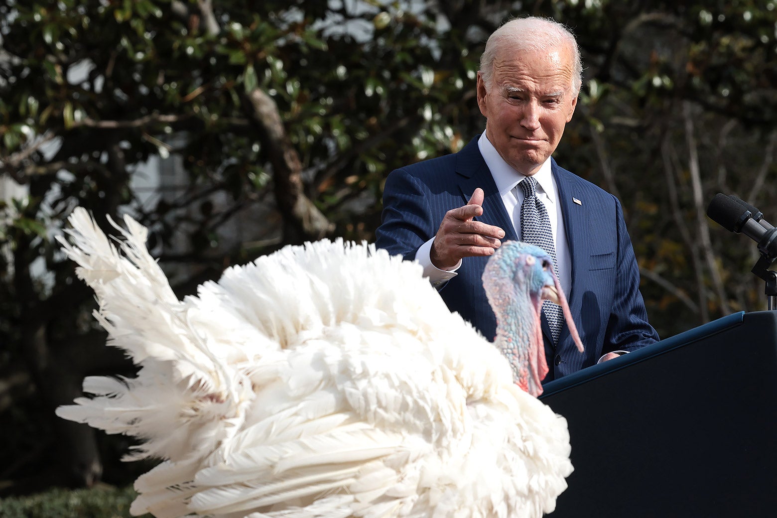 The One Piece Of Biden News To Be Grateful For This Thanksgiving.