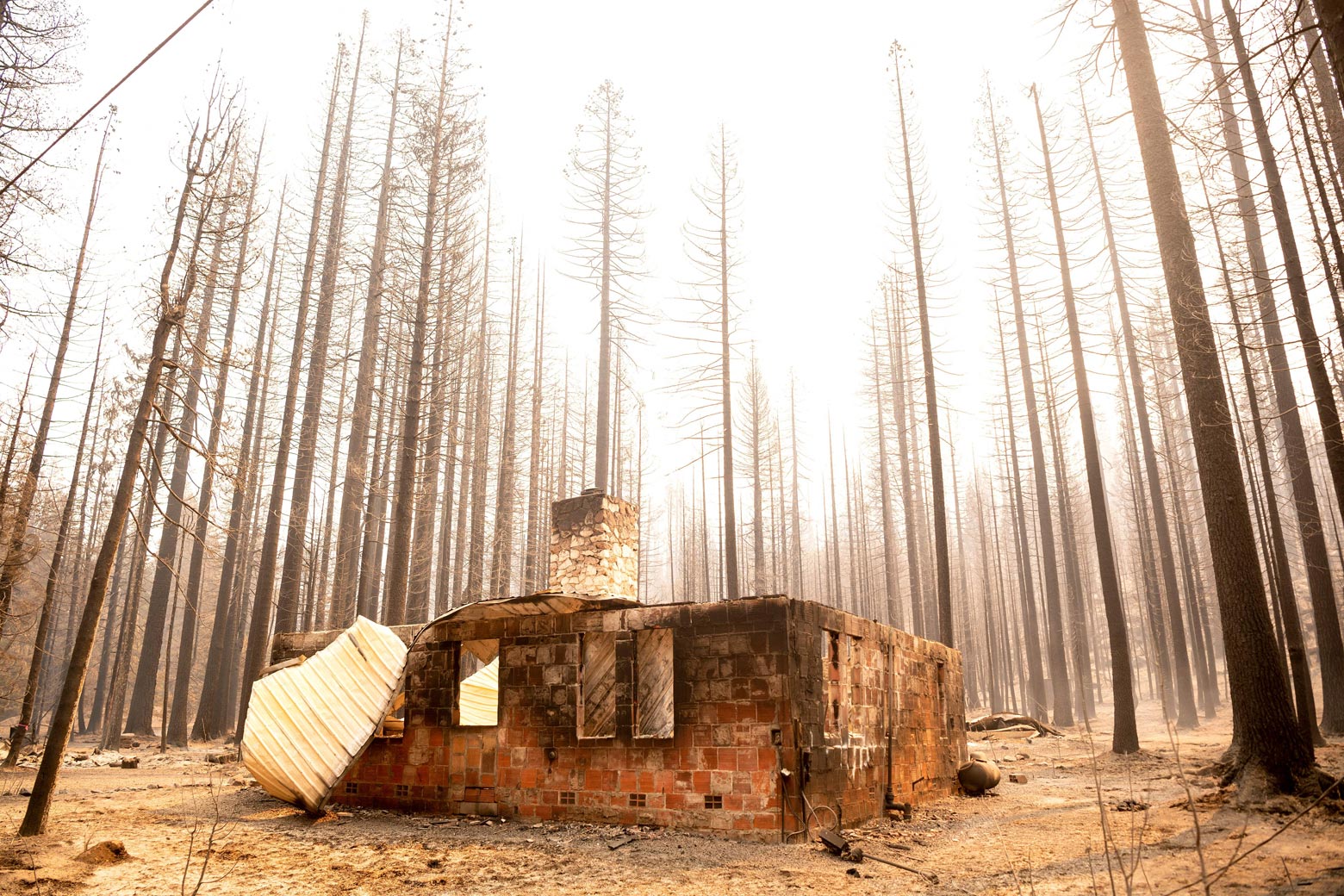 Just the first-story brick remains of a home amid tall barren trees in a forest